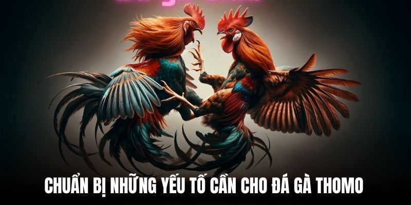 Chuẩn bị những yếu tố cần cho đá gà Thomo