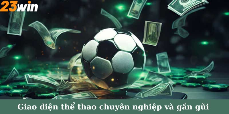 Giao diện thể thao chuyên nghiệp và gần gũi với người chơi