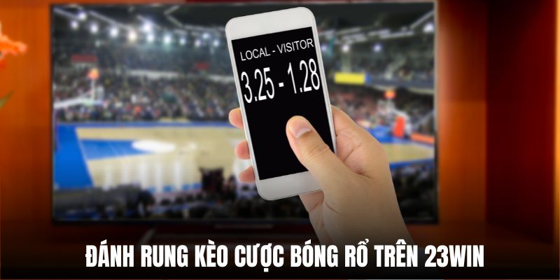 Đánh rung kèo cược bóng rổ trên 23Win