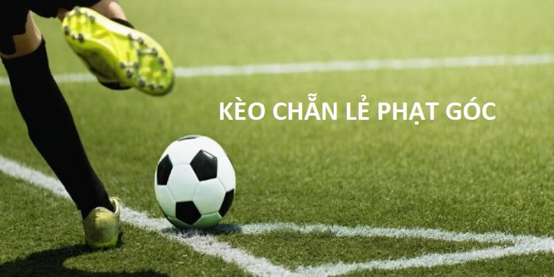 Kèo chẵn lẻ phạt góc khá thú vị 